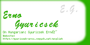 erno gyuricsek business card